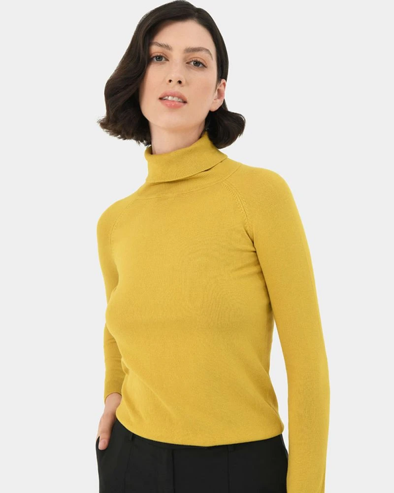 Clarisse Turtleneck Sweater 3 Clarisse Turtleneck Sweater