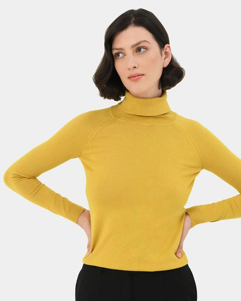Clarisse Turtleneck Sweater 4 Clarisse Turtleneck Sweater - Image 2