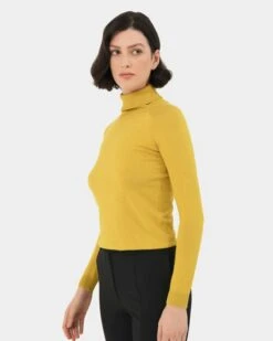 Clarisse Turtleneck Sweater 9 Clarisse Turtleneck Sweater -Hard With Style 19k619mus 3 8728 cm